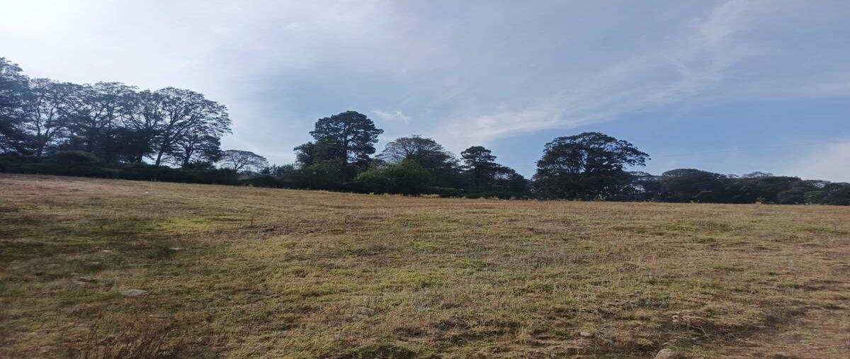 Foto de terreno habitacional en venta en  , villa del carbón, villa del carbón, méxico, 0 No. 03