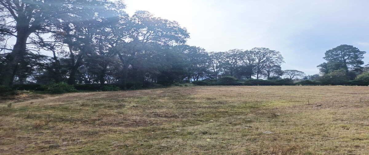Foto de terreno habitacional en venta en  , villa del carbón, villa del carbón, méxico, 0 No. 04
