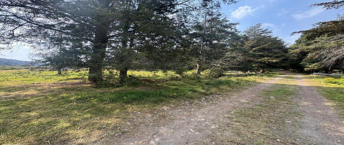 Foto de terreno habitacional en venta en . , villa del carbón, villa del carbón, méxico, 0 No. 05