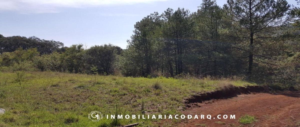 Foto de terreno habitacional en villa del carbón , villa del carbón, villa del carbón, méxico, 27544437 foto 04 Foto de terreno habitacional en venta en villa del carbón , villa del carbón, villa del carbón, méxico, 27544437 No. 04