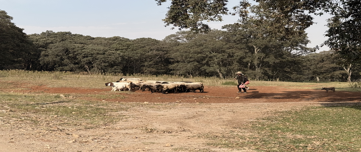 Foto de terreno habitacional en venta en villa del carbon , villa del carbón, villa del carbón, méxico, 0 No. 04