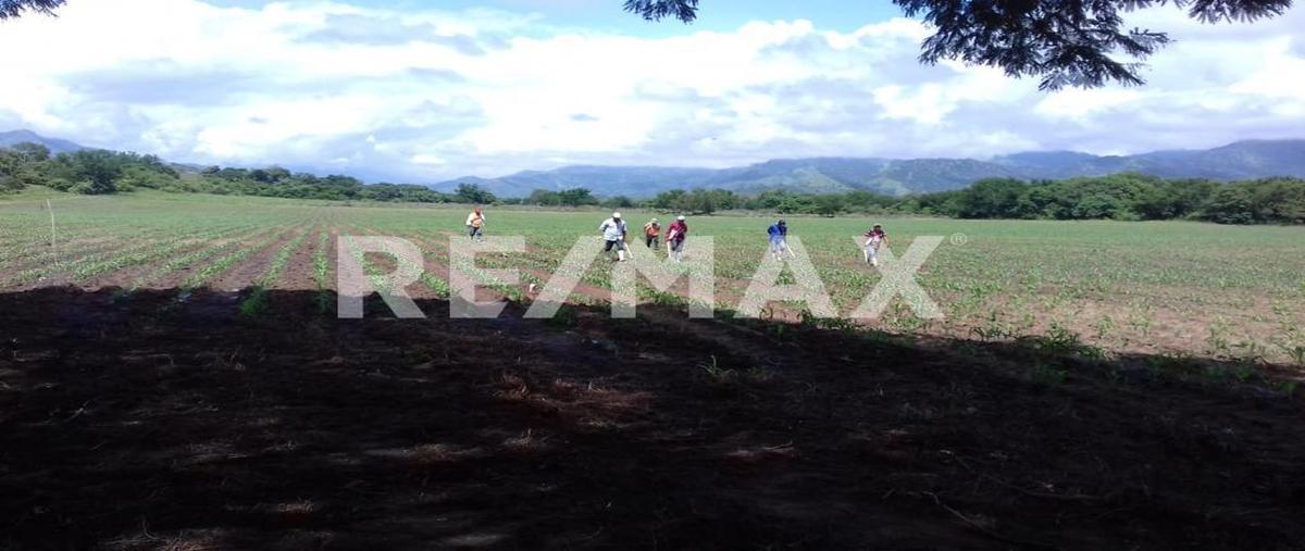 Foto de terreno comercial en venta en villa flores y villa corzo , villa corzo, villa corzo, chiapas, 27531042 No. 03