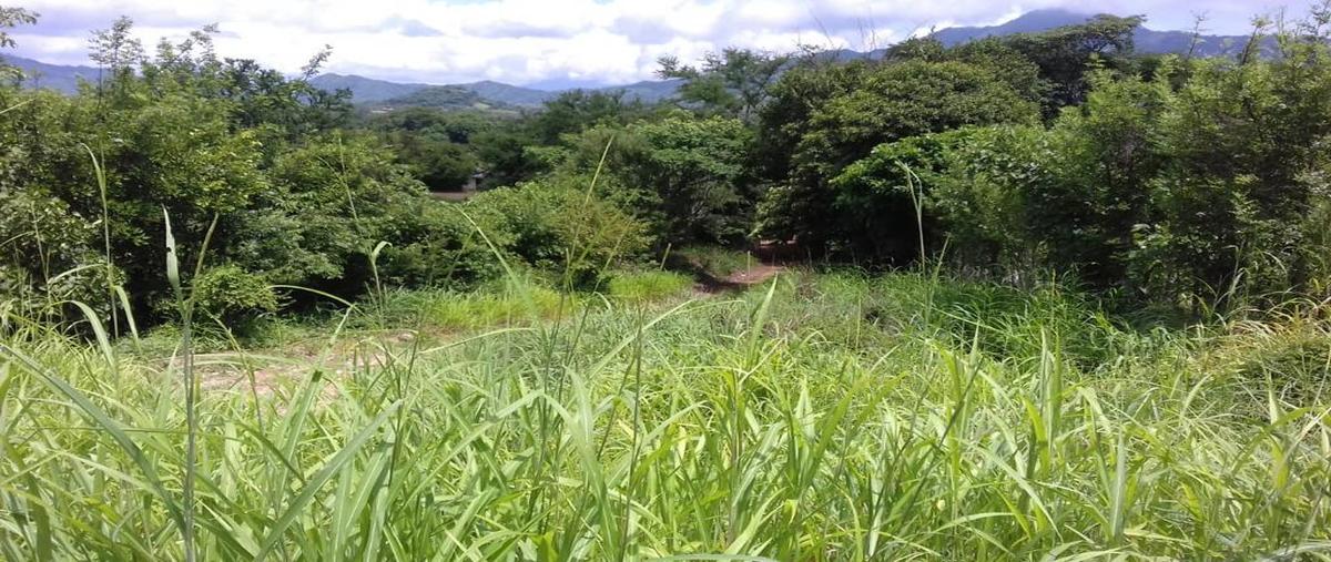 Foto de terreno comercial en villa flores y villa corzo , villa corzo, villa corzo, chiapas, 27531042 foto 04 Foto de terreno comercial en venta en villa flores y villa corzo , villa corzo, villa corzo, chiapas, 27531042 No. 04