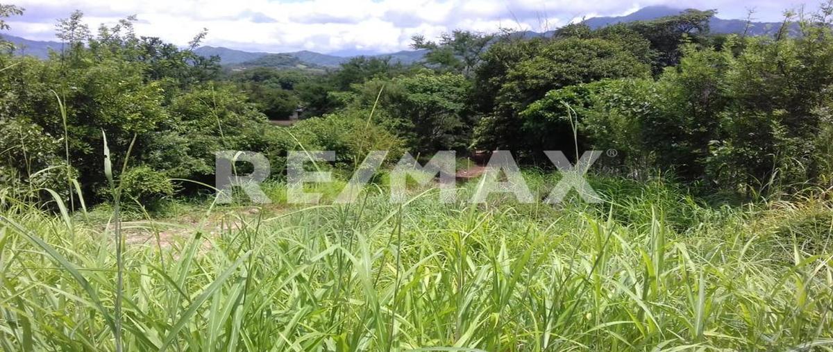 Foto de terreno comercial en venta en villa flores y villa corzo , villa corzo, villa corzo, chiapas, 27531042 No. 04