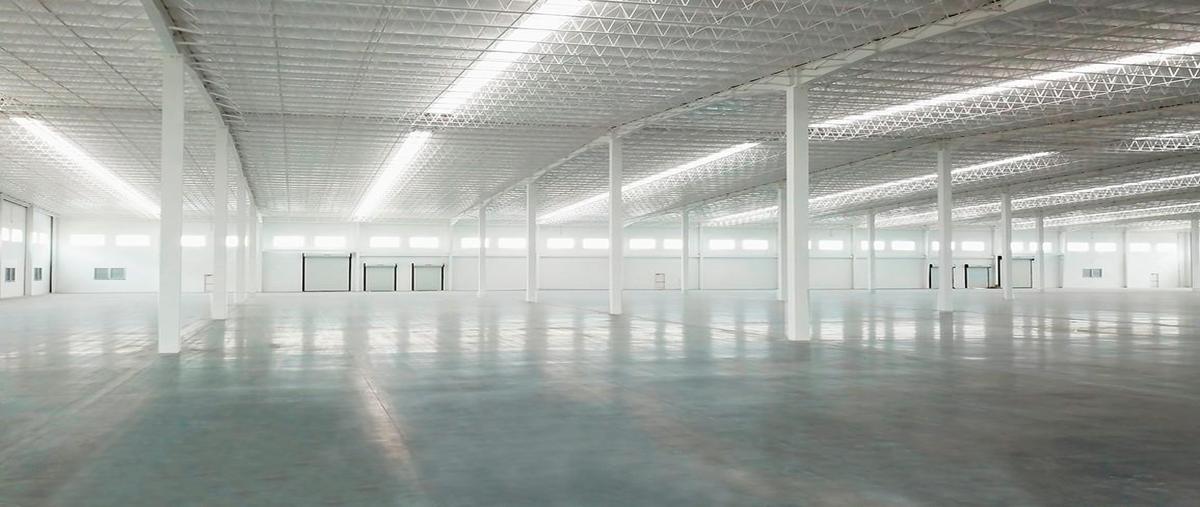 Foto de bodega en renta en  , villa florida, reynosa, tamaulipas, 0 No. 03