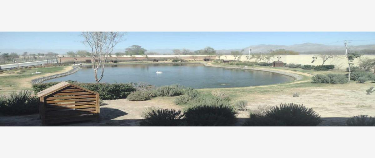 Foto de terreno habitacional en venta en villa juarez 53 53b, benito juárez, lerdo, durango, 0 No. 03