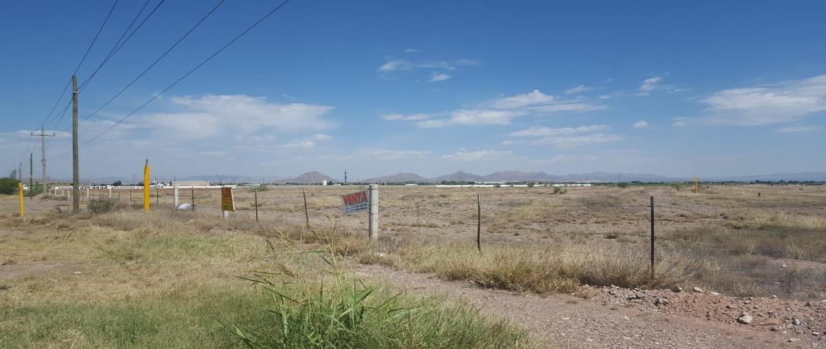 Foto de terreno habitacional en venta en  , villa juárez, chihuahua, chihuahua, 25288457 No. 05