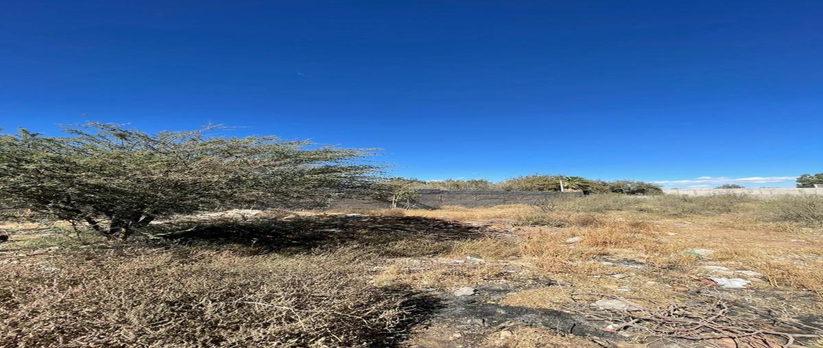 Foto de terreno habitacional en , villa juárez, chihuahua, chihuahua, 0 foto 04 Foto de terreno habitacional en venta en , villa juárez, chihuahua, chihuahua, 0 No. 04