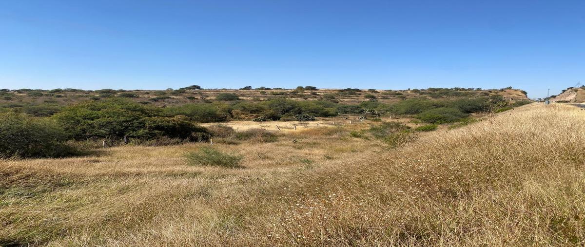 Foto de terreno habitacional en venta en  , villa licenciado jesús terán (calvillito), aguascalientes, aguascalientes, 27735613 No. 03