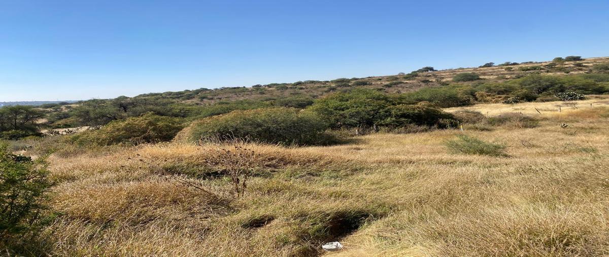 Foto de terreno habitacional en venta en  , villa licenciado jesús terán (calvillito), aguascalientes, aguascalientes, 27735613 No. 04