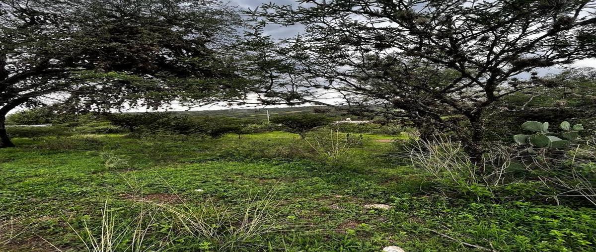 Foto de terreno habitacional en venta en  , villa licenciado jesús terán (calvillito), aguascalientes, aguascalientes, 0 No. 03