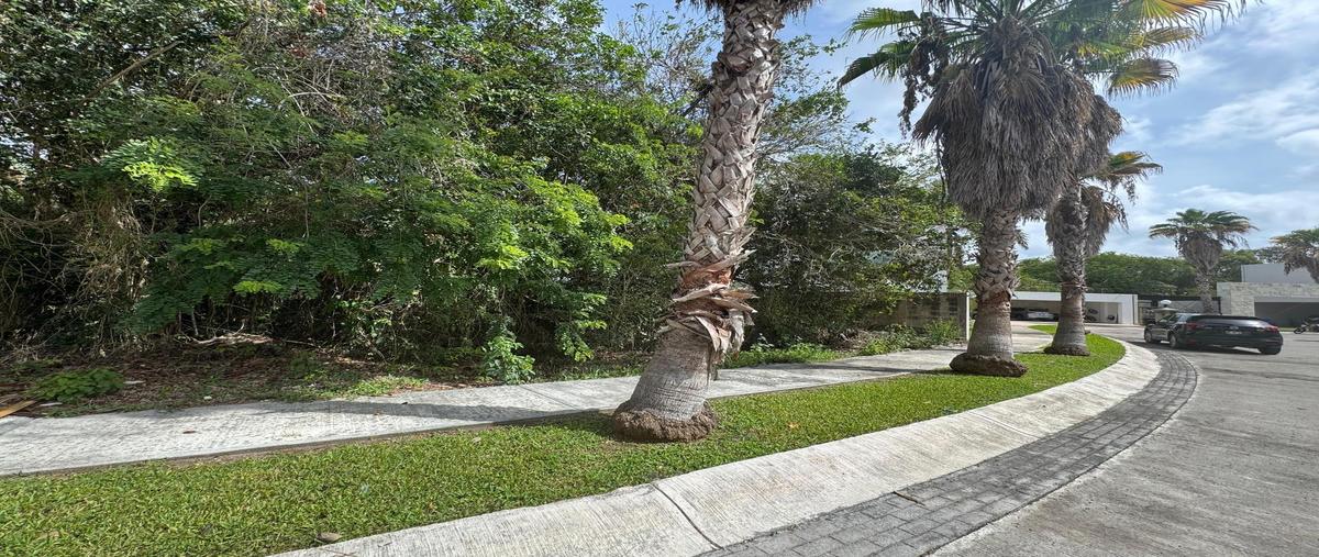 Foto de terreno habitacional en , villa maya residencial cancún, benito juárez, quintana roo, 30369172 foto 04 Foto de terreno habitacional en venta en , villa maya residencial cancún, benito juárez, quintana roo, 30369172 No. 04