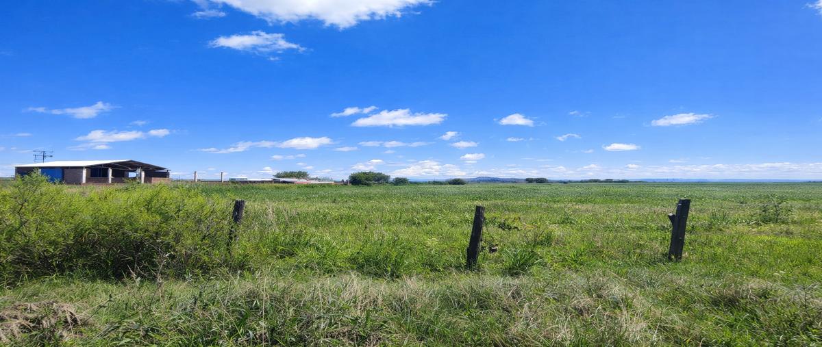 Foto de terreno habitacional en venta en  , villa montemorelos, durango, durango, 0 No. 03