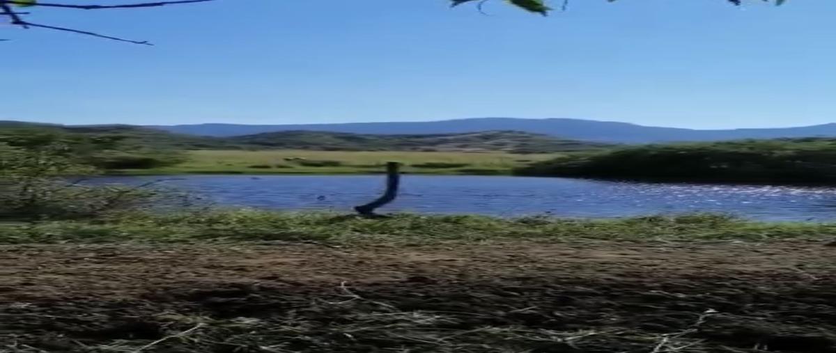 Foto de rancho en venta en villa morelos , villa morelos, cintalapa, chiapas, 0 No. 03