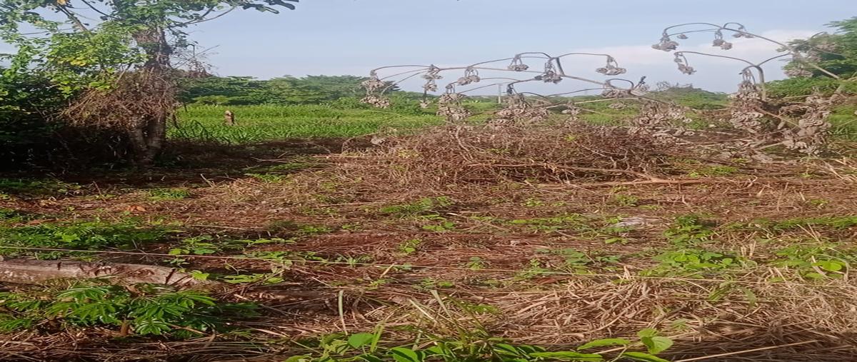 Foto de terreno habitacional en venta en villa parrilla , parrilla, centro, tabasco, 28535768 No. 04