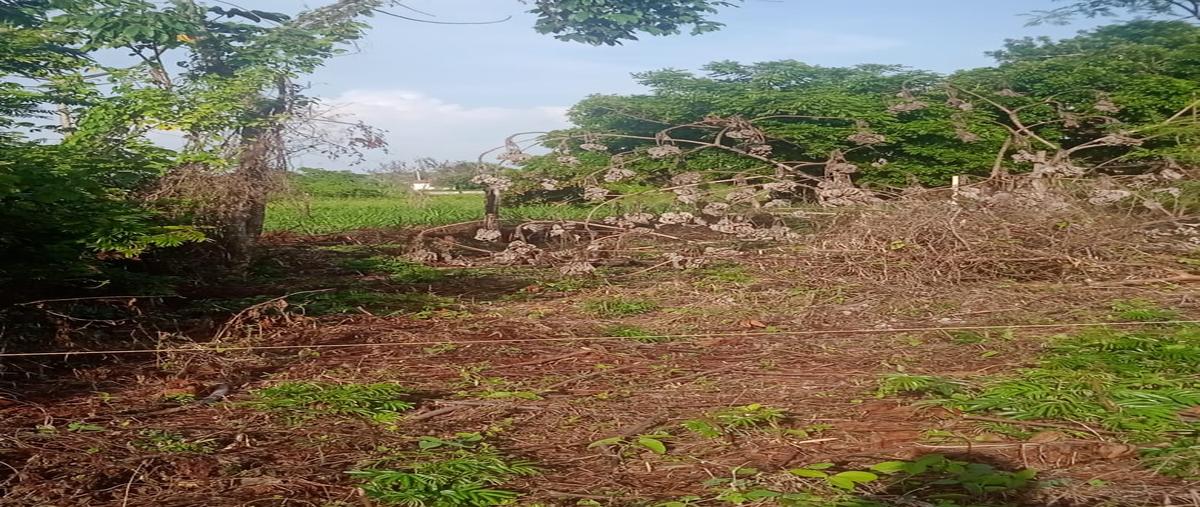 Foto de terreno habitacional en venta en villa parrilla , parrilla, centro, tabasco, 28535768 No. 05