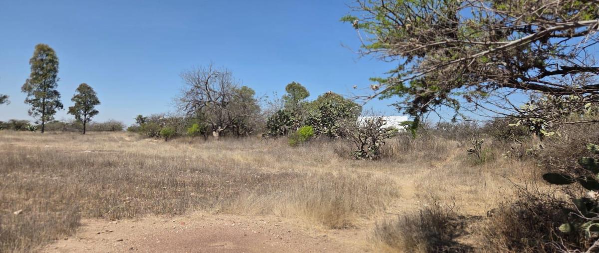 Foto de terreno habitacional en venta en  , villa progreso, ezequiel montes, querétaro, 0 No. 03