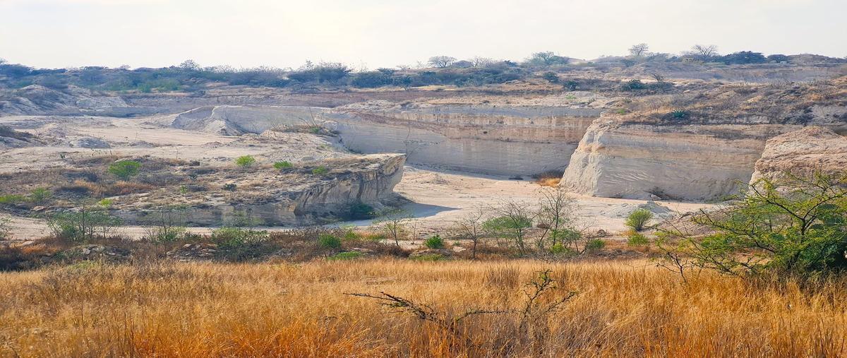 Foto de terreno habitacional en venta en villa progreso , guanajuatito, ezequiel montes, querétaro, 0 No. 05