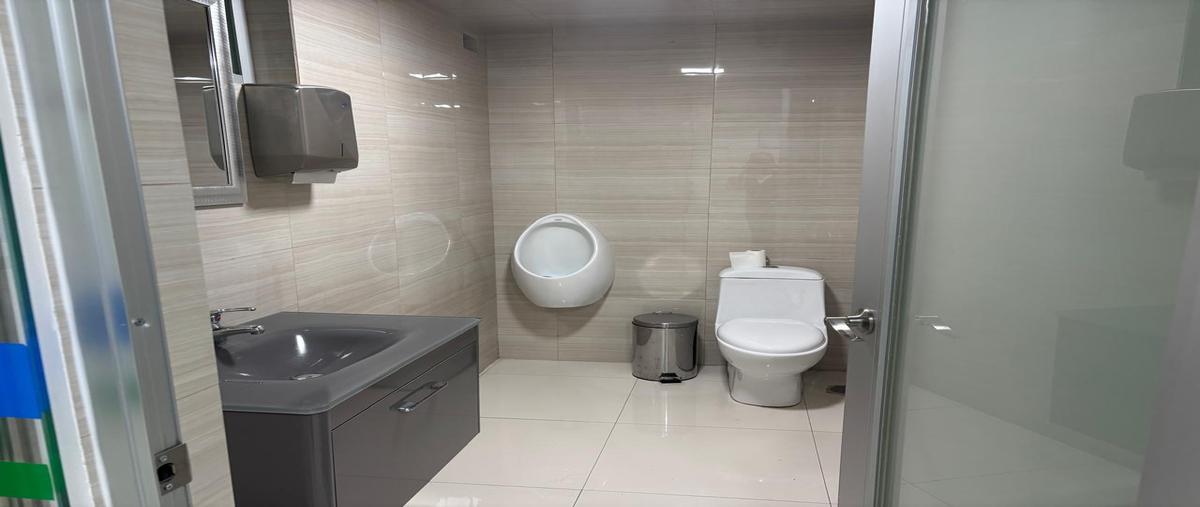 Foto de casa en renta en  , villa quietud, coyoacán, df / cdmx, 30229368 No. 05