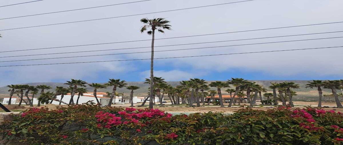 Foto de terreno habitacional en villa toscana , la salina, ensenada, baja california, 29911757 foto 01 Foto de terreno habitacional en venta en villa toscana , la salina, ensenada, baja california, 29911757 No. 01