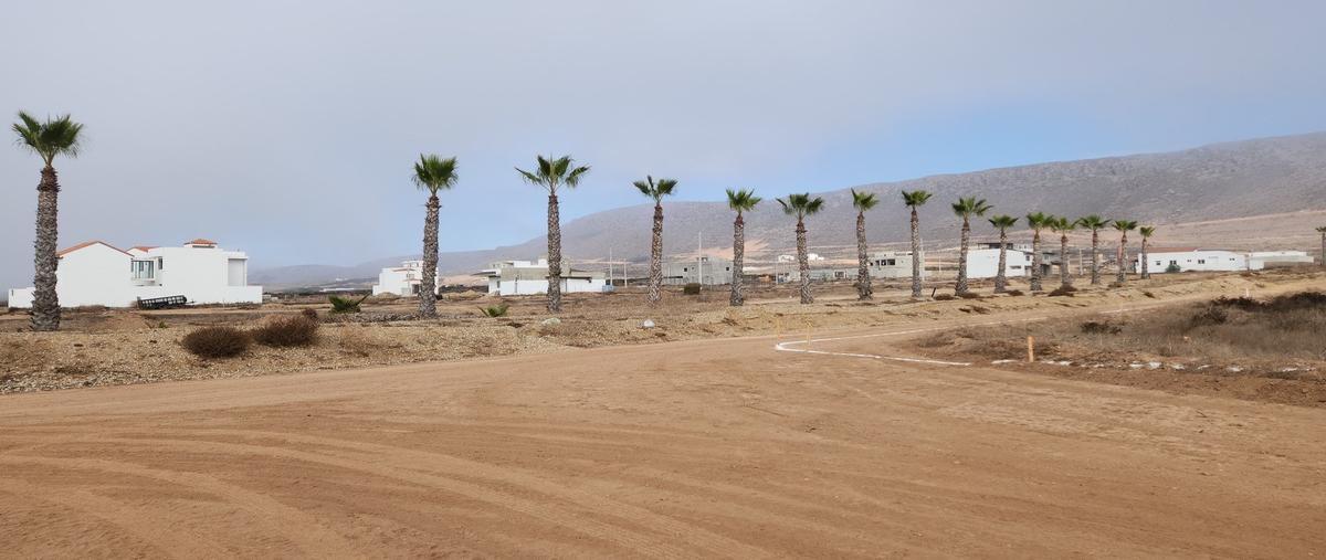 Foto de terreno habitacional en venta en villa toscana , la salina, ensenada, baja california, 30572463 No. 03