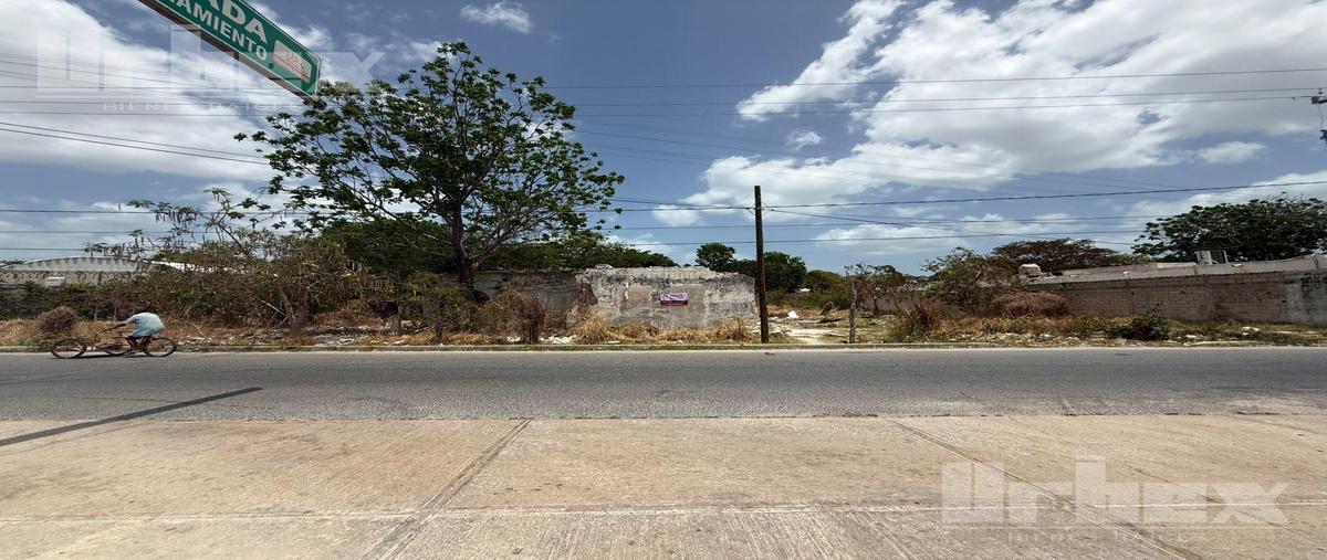 Foto de terreno habitacional en venta en  , villa turquesa, campeche, campeche, 0 No. 04