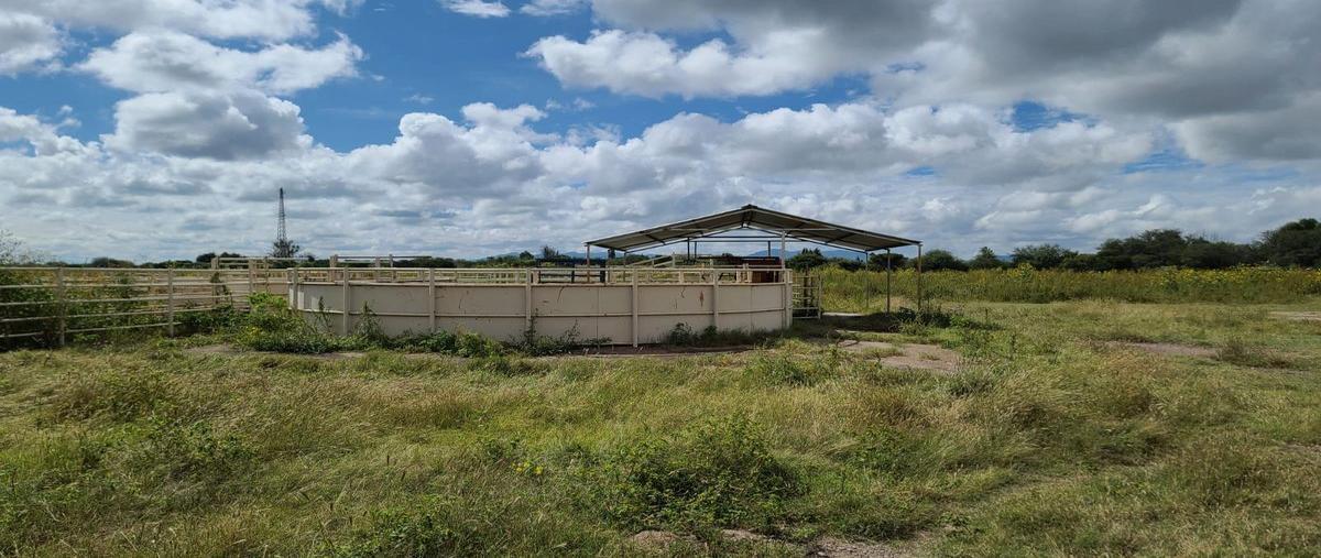 Foto de rancho en , villa unión, poanas, durango, 25269517 foto 04 Foto de rancho en venta en , villa unión, poanas, durango, 25269517 No. 04