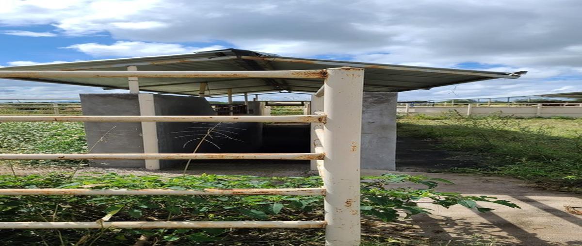 Foto de rancho en , villa unión, poanas, durango, 25269517 foto 05 Foto de rancho en venta en , villa unión, poanas, durango, 25269517 No. 05