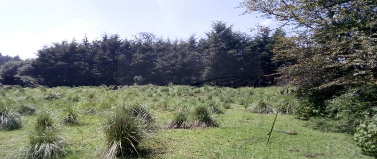 Foto de terreno habitacional en , villa victoria, villa victoria, méxico, 0 foto 01 Foto de terreno habitacional en venta en , villa victoria, villa victoria, méxico, 0 No. 01