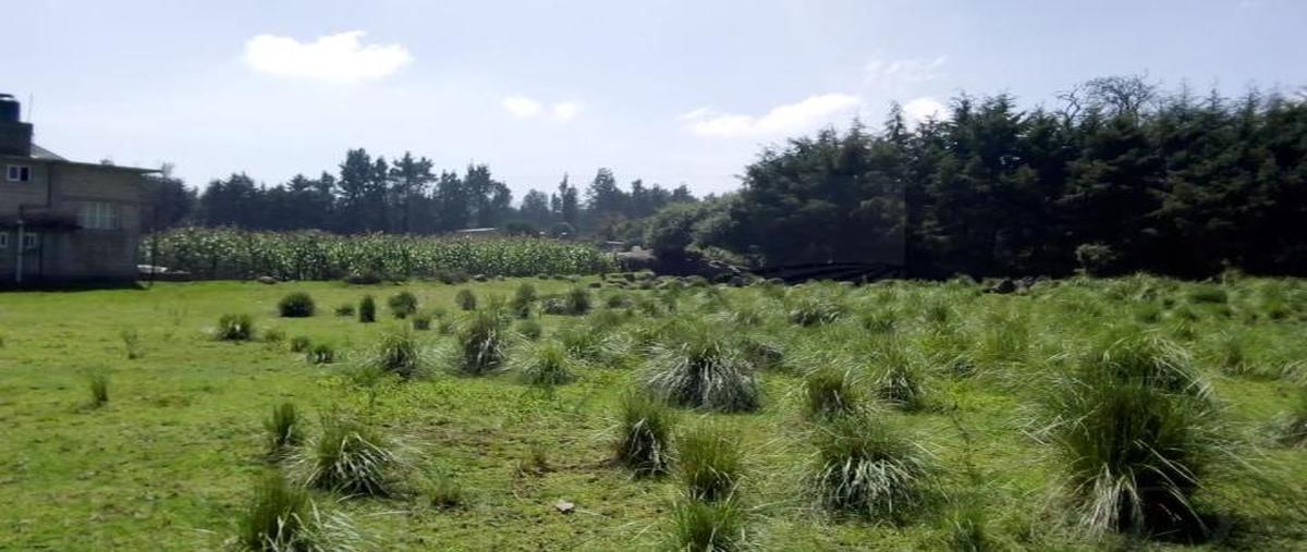 Foto de terreno habitacional en , villa victoria, villa victoria, méxico, 0 foto 04 Foto de terreno habitacional en venta en , villa victoria, villa victoria, méxico, 0 No. 04