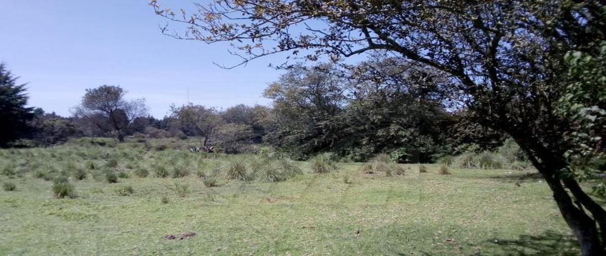 Foto de terreno habitacional en , villa victoria, villa victoria, méxico, 0 foto 05 Foto de terreno habitacional en venta en , villa victoria, villa victoria, méxico, 0 No. 05