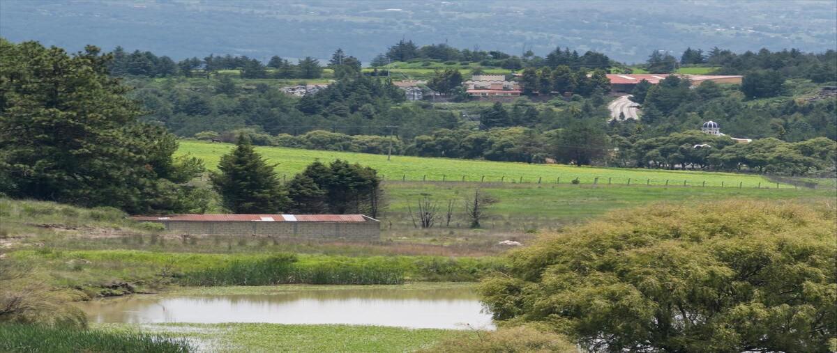 Foto de terreno habitacional en venta en  , villa victoria, villa victoria, méxico, 0 No. 04