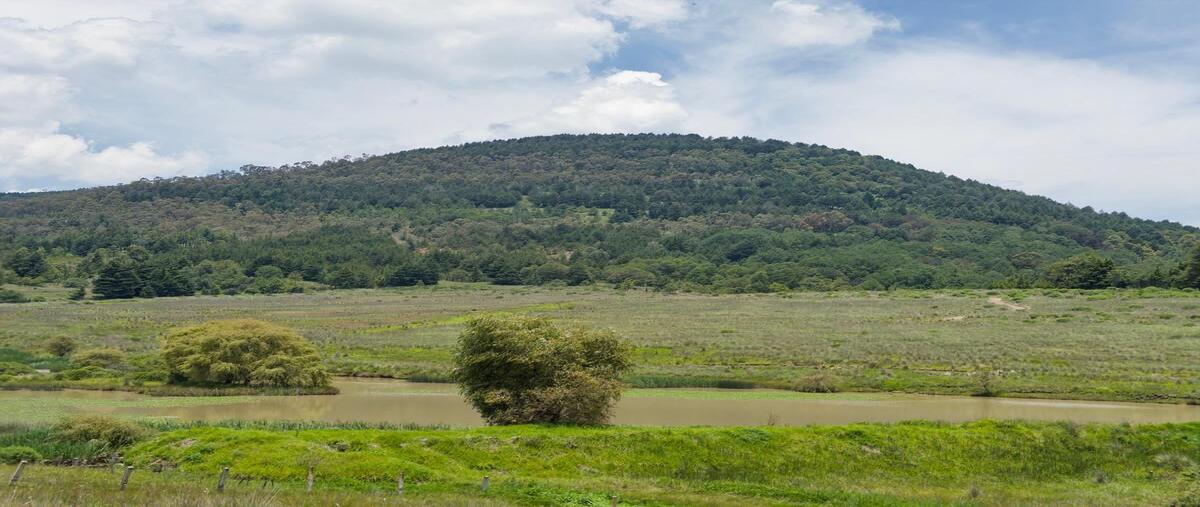 Foto de terreno habitacional en venta en  , villa victoria, villa victoria, méxico, 0 No. 05
