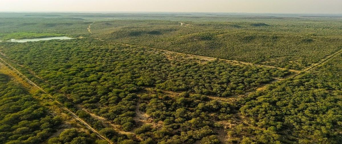 Foto de rancho en venta en villagran , villagran, villagrán, tamaulipas, 30727428 No. 03