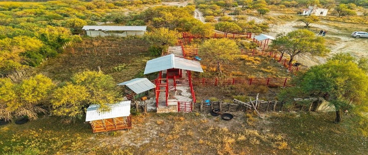 Foto de rancho en venta en villagran , villagran, villagrán, tamaulipas, 30727428 No. 04