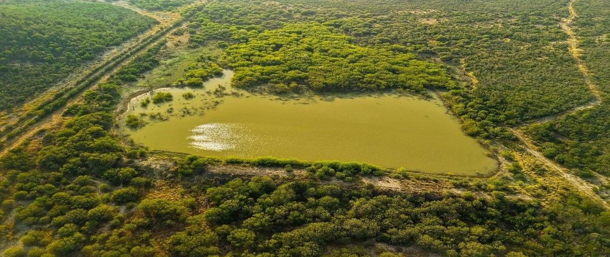 Foto de rancho en venta en villagran , villagran, villagrán, tamaulipas, 30727428 No. 05