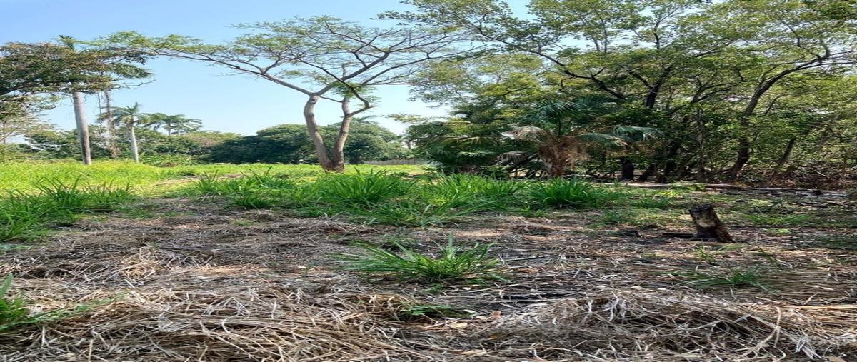 Foto de terreno habitacional en venta en villahermosa -carmen , atasta, carmen, campeche, 28066206 No. 05