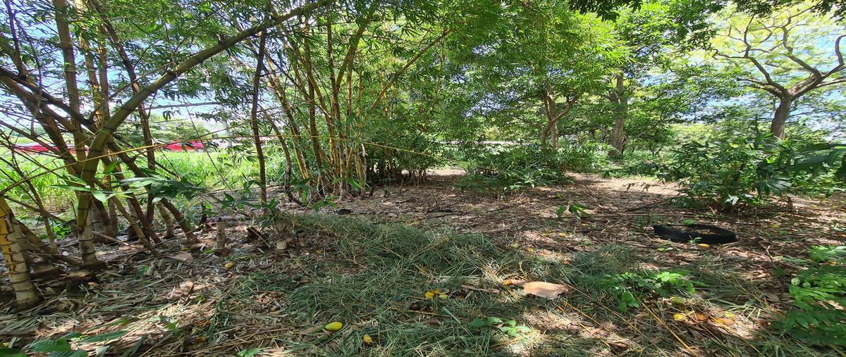 Foto de terreno comercial en venta en  , villahermosa centro, centro, tabasco, 27006760 No. 05