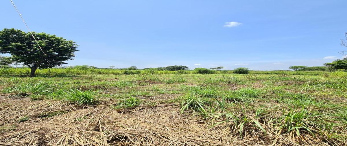 Foto de terreno comercial en , villahermosa centro, centro, tabasco, 0 foto 04 Foto de terreno comercial en venta en , villahermosa centro, centro, tabasco, 0 No. 04