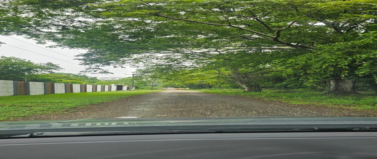 Foto de terreno habitacional en venta en villahermosa macuspana kilometro 14+500ríacoronel traconis1ra sección , coronel traconis 1ra sección (la isla), centro, tabasco, 0 No. 04