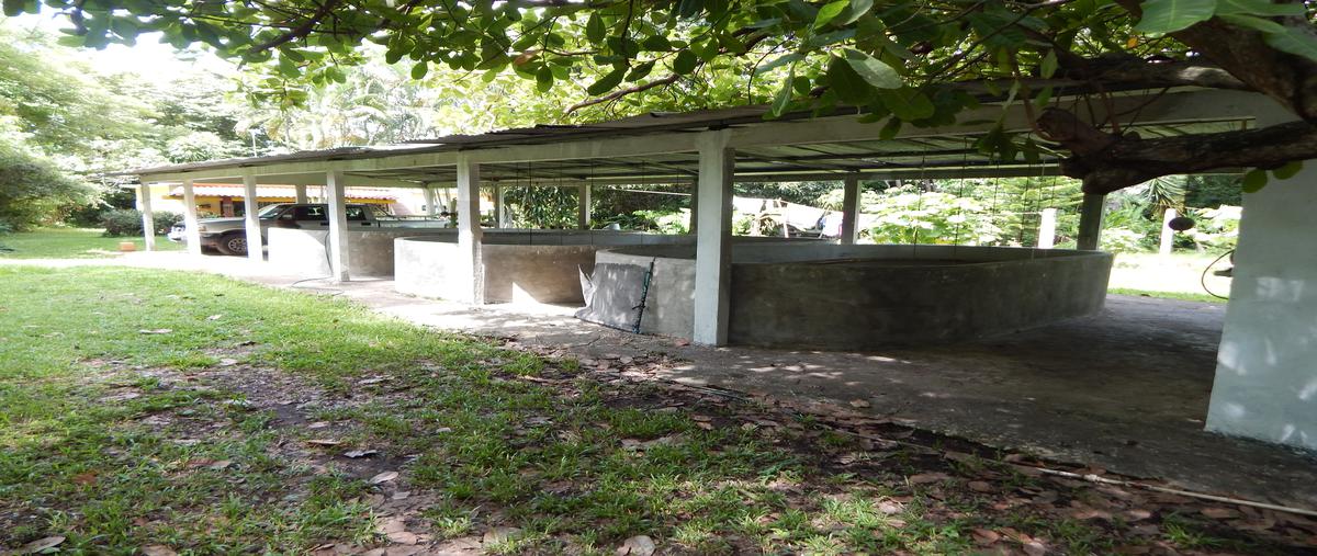 Foto de rancho en venta en villahermosa -macuspana , tequila 2da. sección, jalapa, tabasco, 5996729 No. 04