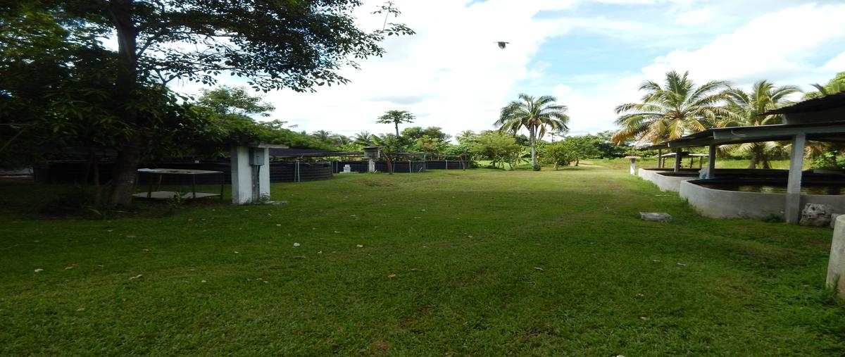 Foto de rancho en venta en villahermosa -macuspana , tequila 4ta sección, jalapa, tabasco, 5996729 No. 01