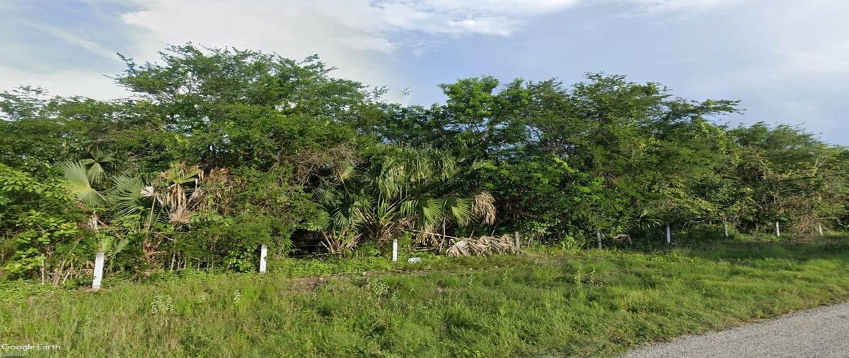 Foto de terreno habitacional en villamadero , champotón centro, champotón, campeche, 0 foto 03 Foto de terreno habitacional en venta en villamadero , champotón centro, champotón, campeche, 0 No. 03