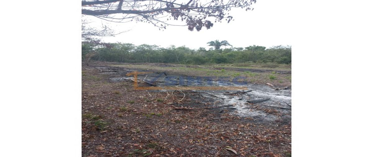Foto de terreno habitacional en venta en  , villamar, tuxpan, veracruz de ignacio de la llave, 0 No. 03