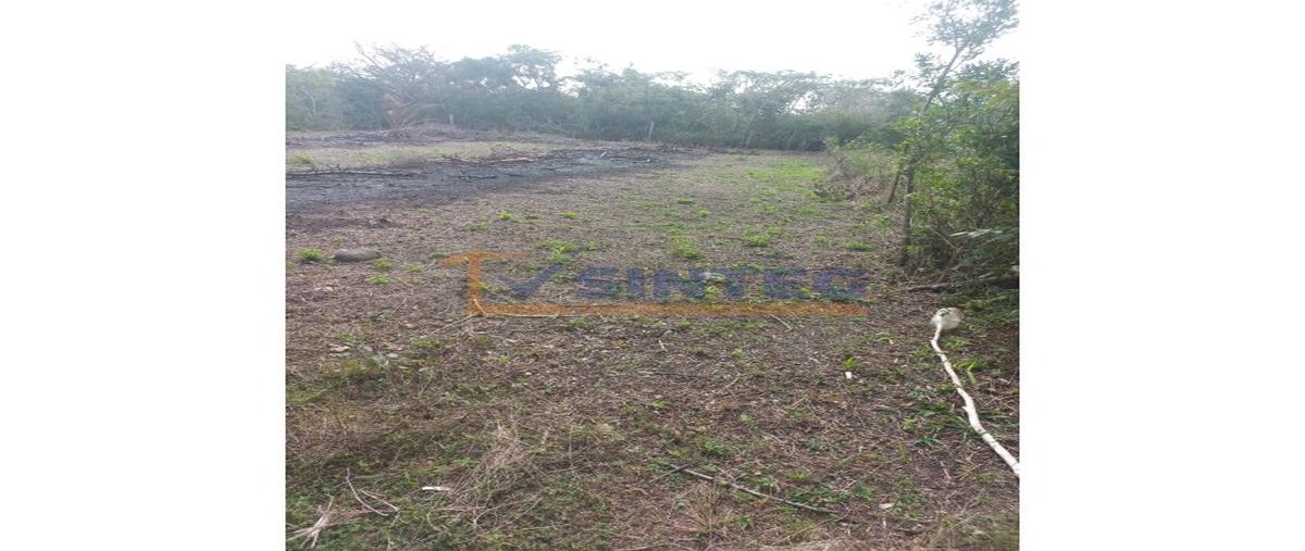 Foto de terreno habitacional en venta en  , villamar, tuxpan, veracruz de ignacio de la llave, 0 No. 04