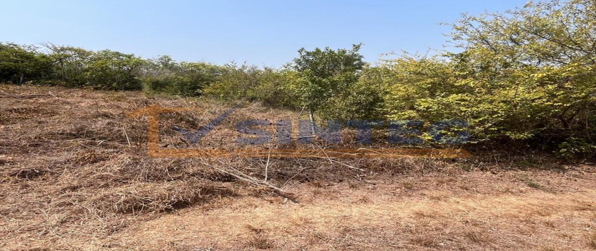 Foto de terreno habitacional en venta en  , villamar, tuxpan, veracruz de ignacio de la llave, 0 No. 05