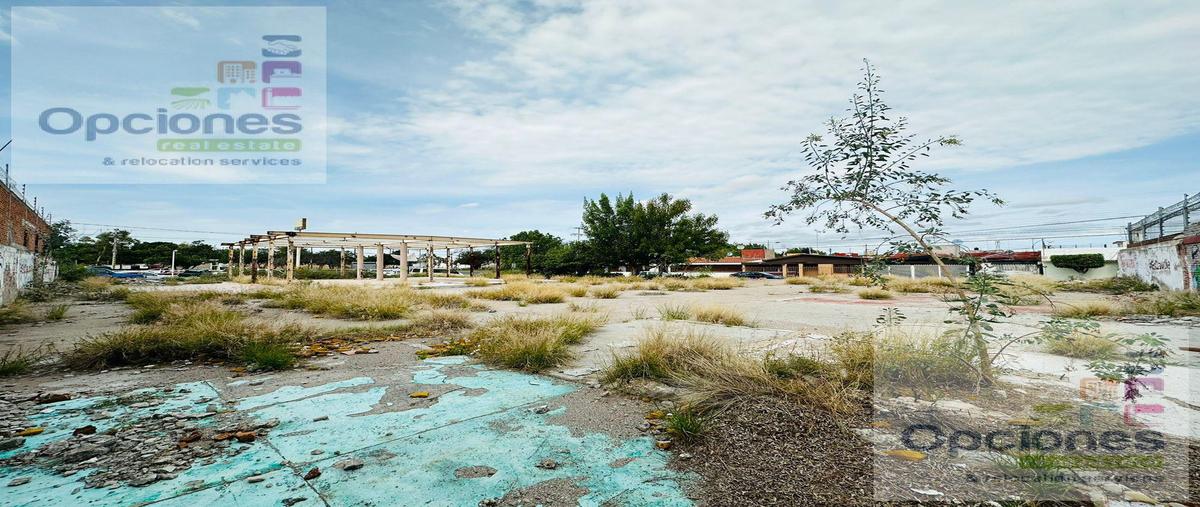 Foto de terreno habitacional en venta en  , villarreal, salamanca, guanajuato, 0 No. 02