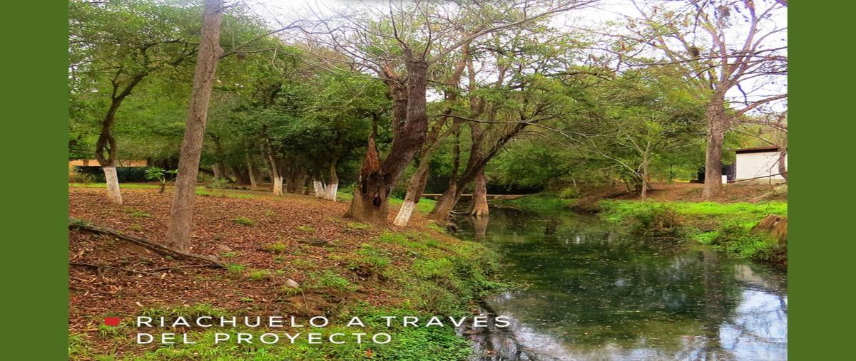 Foto de terreno habitacional en venta en  , villas de san antonio, allende, nuevo león, 0 No. 03