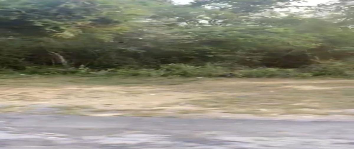 Foto de terreno habitacional en venta en villas de san antonio , ciudad allende, allende, nuevo león, 0 No. 05