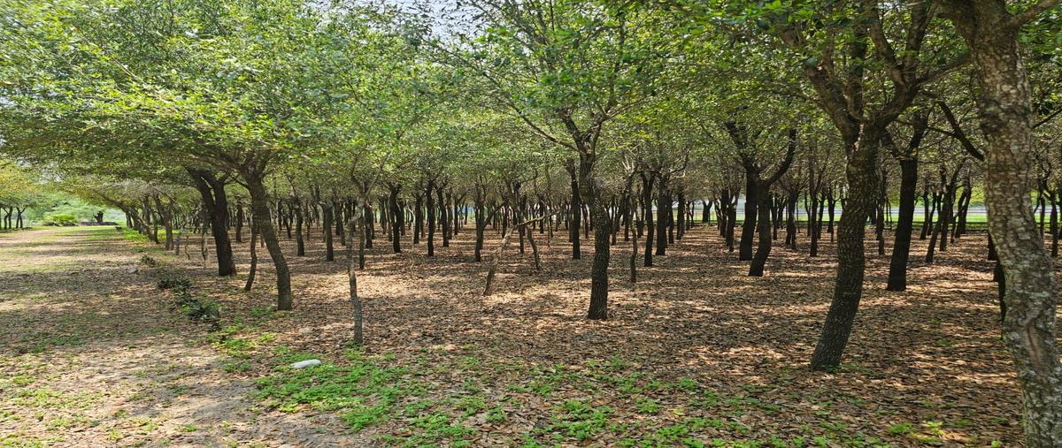 Foto de terreno industrial en venta en  , villas de san antonio, juárez, nuevo león, 0 No. 03